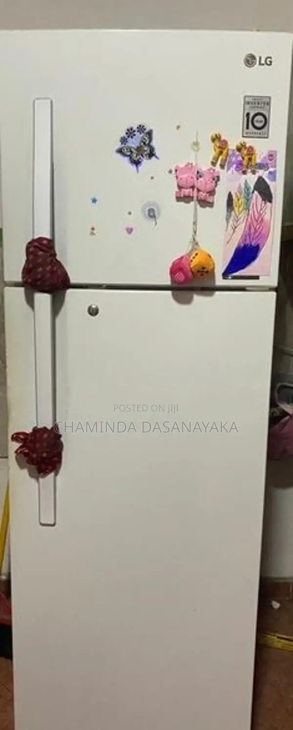 LG 350L Refrigerator