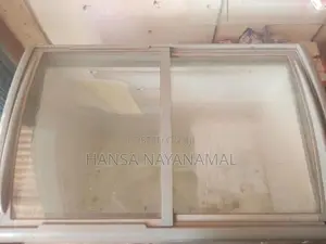 Singer Freezer