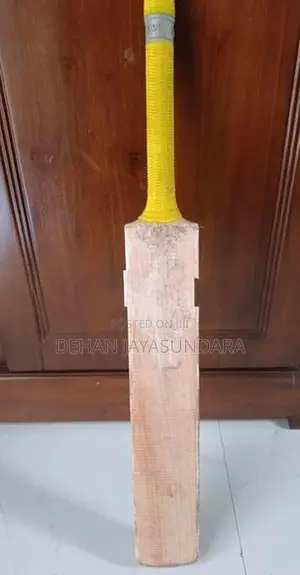 Cricket Bat
