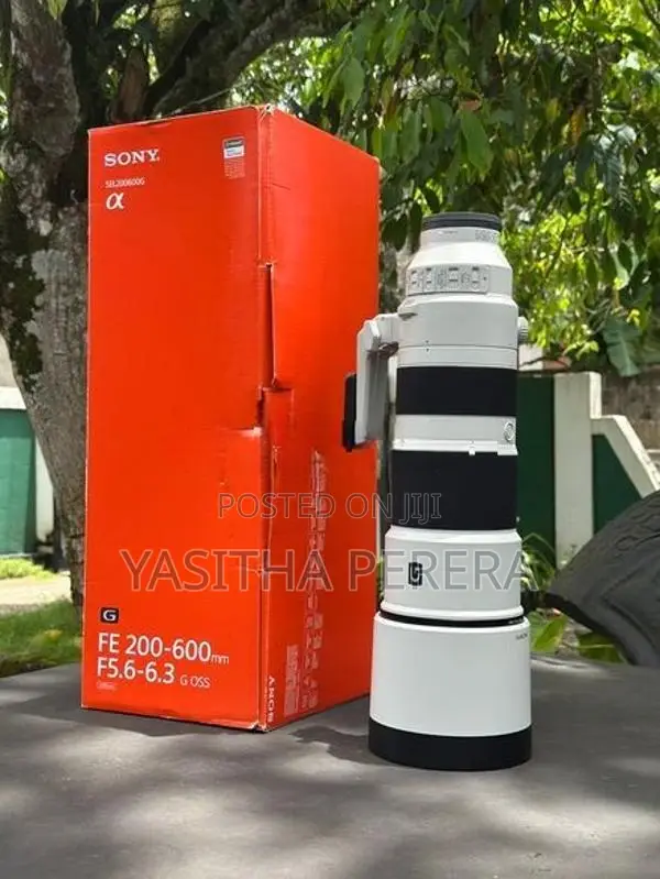Sony 200-600mm G OSS Lens