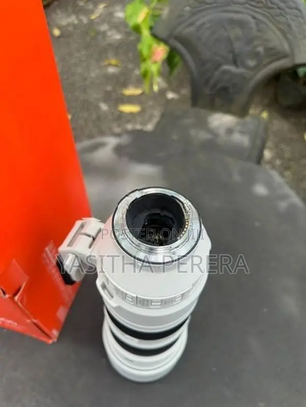 Sony 200-600mm G OSS Lens