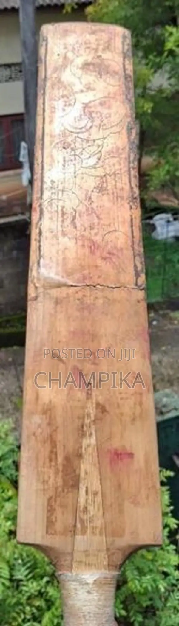 Cricket Bat