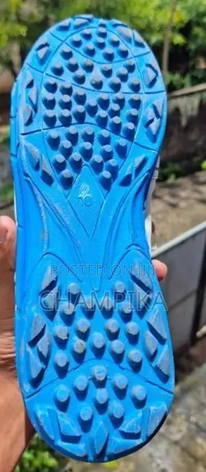 Cricket Shoes