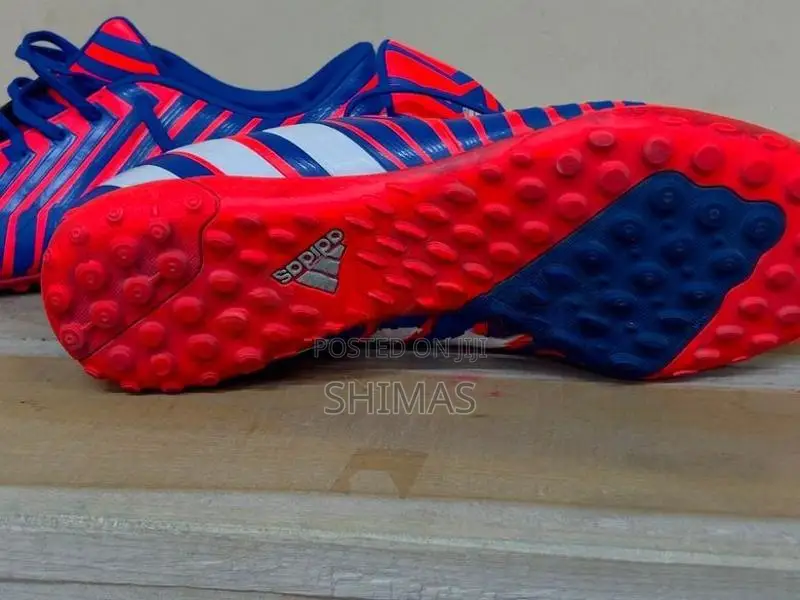 Futsal Shoe