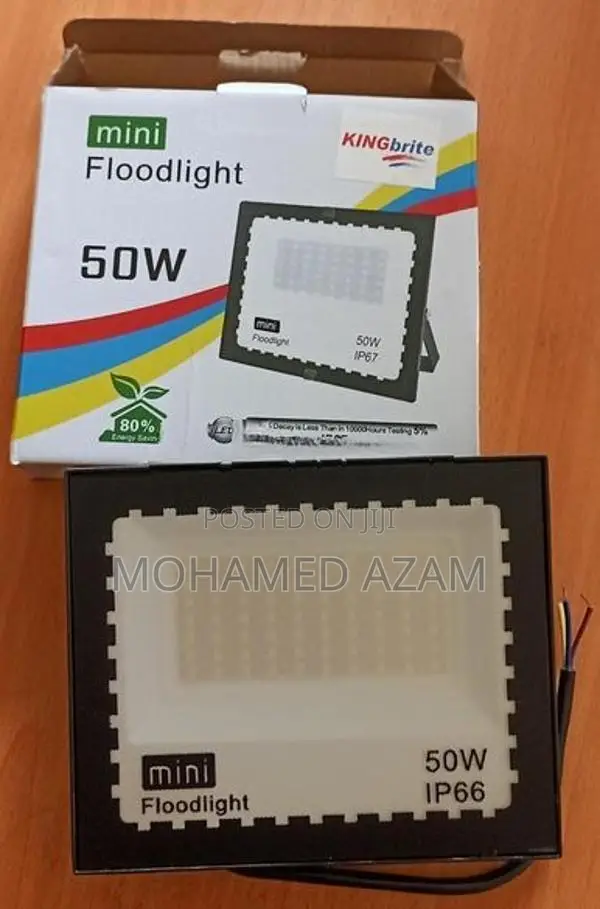 LED Flood Light