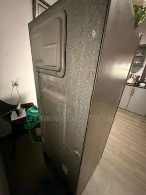 Samsung Fridge