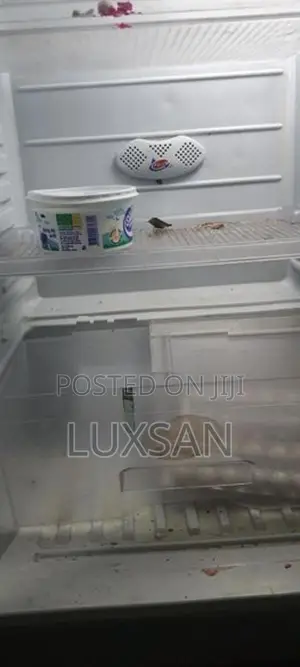 Singer Fridge