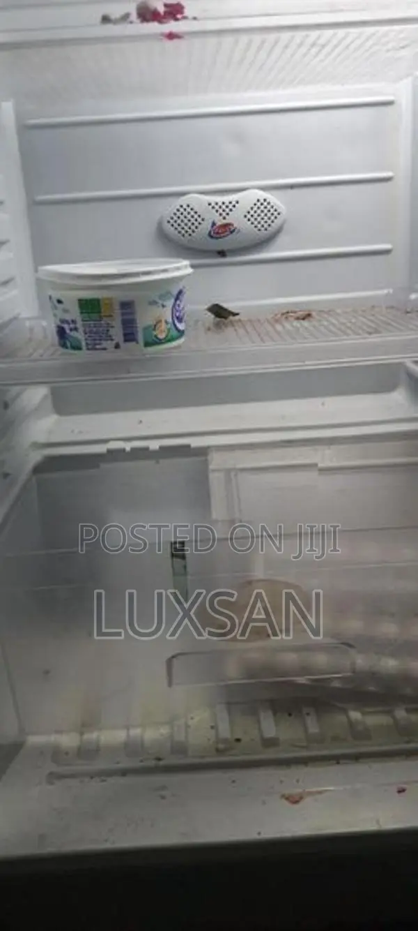 Singer Fridge