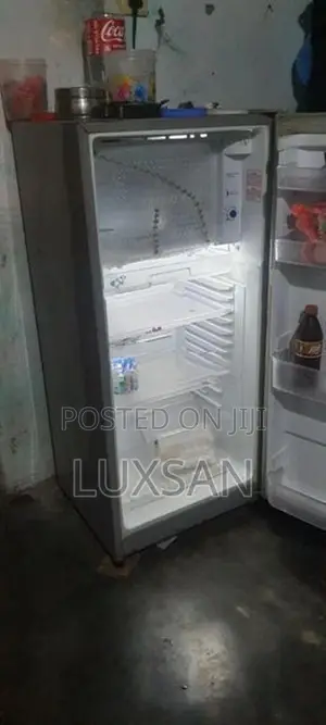 Singer Fridge