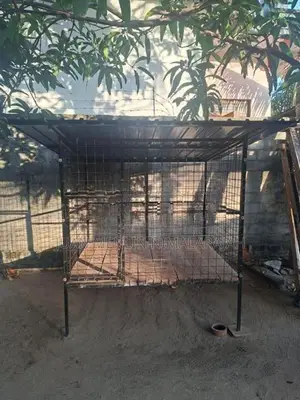 Dog Cage