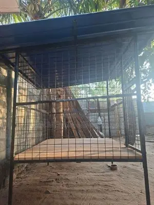 Dog Cage