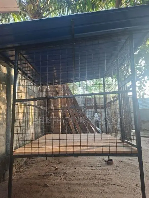Dog Cage