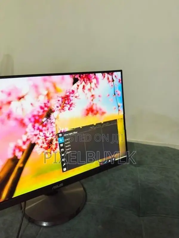 ASUS VA24DQ 24" Full HD Monitor