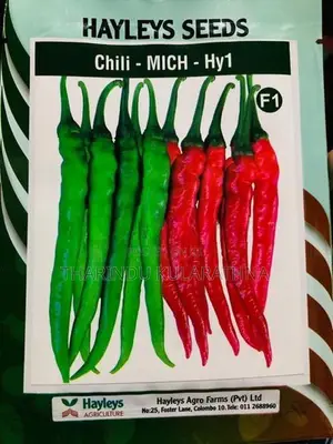 මිරිස් පැල Chili MICH – Hy1 (F1)