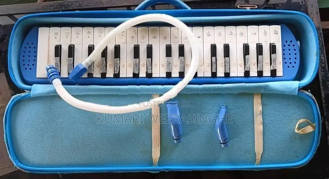 Used Melodica