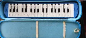 Used Melodica