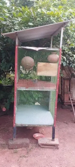 කුරුලු කූඩුව