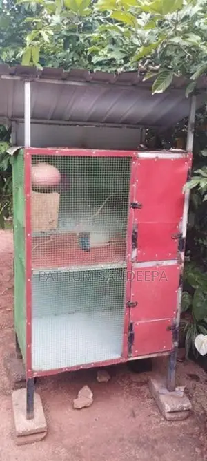 කුරුලු කූඩුව