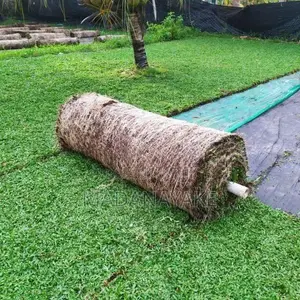 Malaysian Grass Carpet