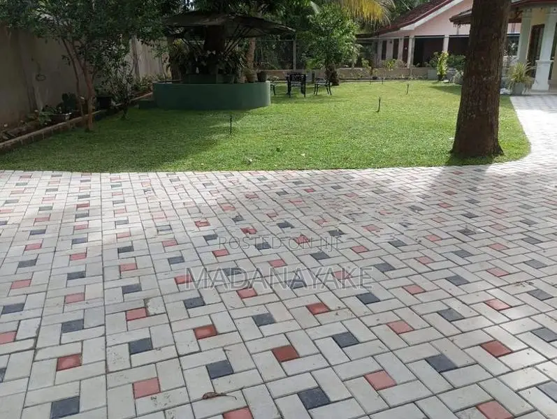 Malaysian Grass Carpet