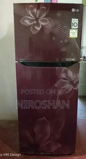 LG Double Door Fridge