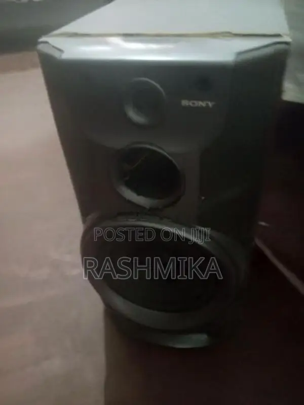 Speaker