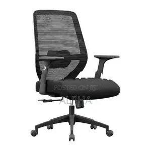 Luna Elite – Low Back Chair (Black)