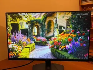 Dell 24 Inch Frameless Monitor