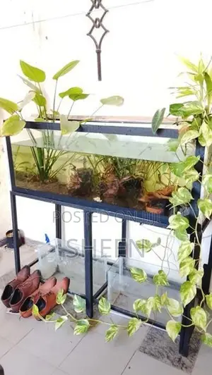 Fish Tank 4feet
