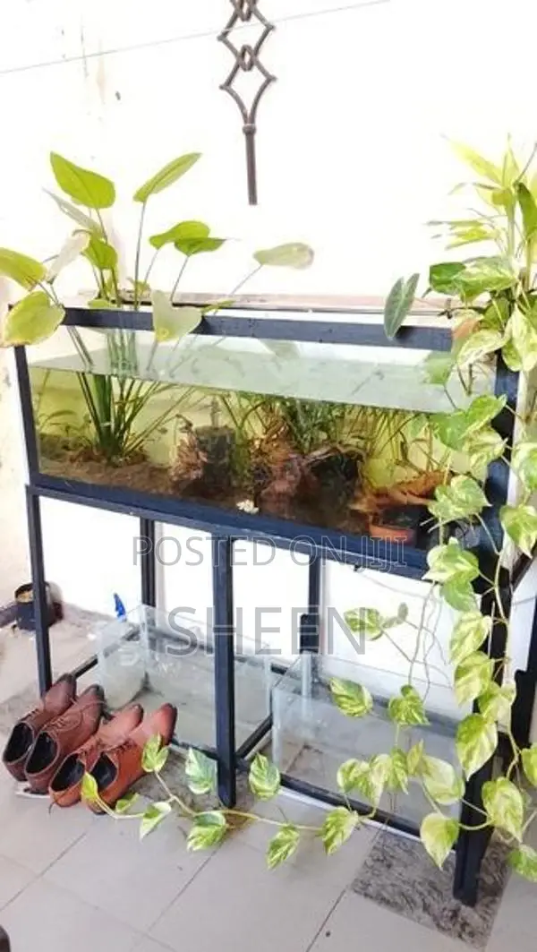 Fish Tank 4feet