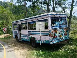 Ashok-Leyland Chithal 1991 Bus (Used)