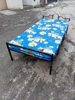 Single Bed with Mattress