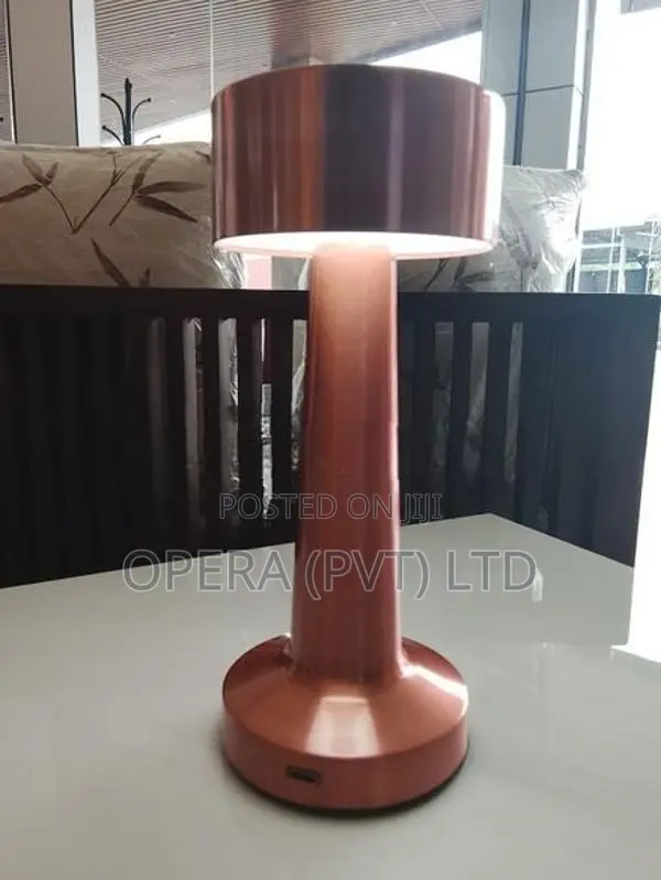 LED Desk Lamp