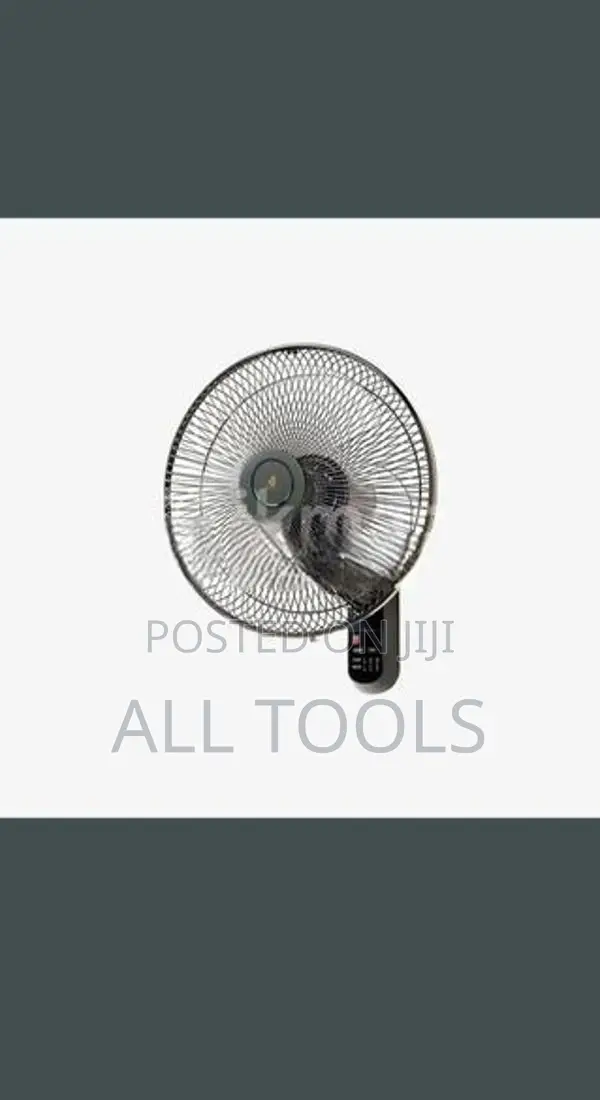 Wall Fan (16)