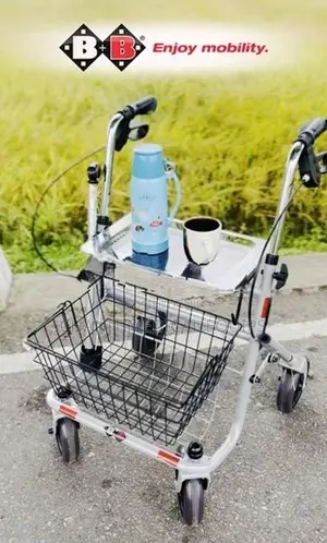 Walker (Germany) + FREE Walking Stick B&B SENIO Premium Rollator