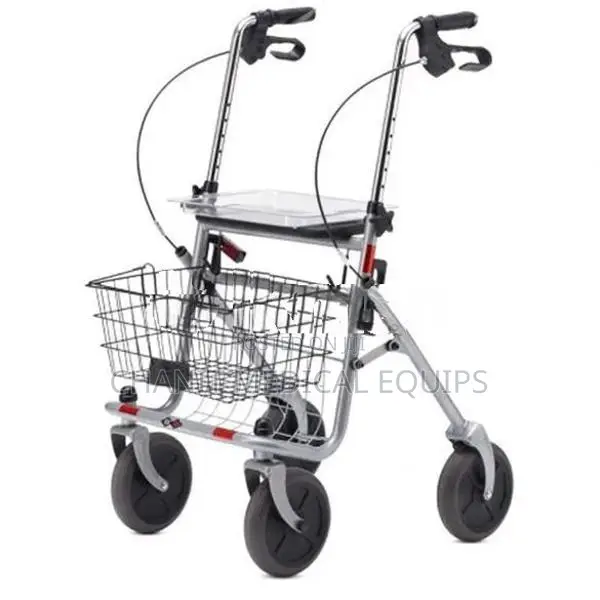 Walker (Germany) + FREE Walking Stick B&B SENIO Premium Rollator