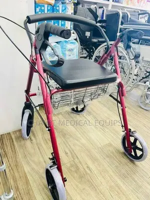 Rollator (Germany) + FREE Walking Stick B&B SENIO Premium