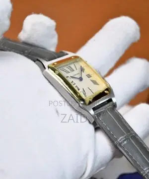 Cartier Dumont Premium Mens Watch