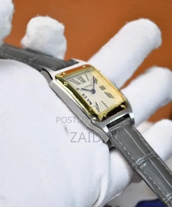 Cartier Dumont Premium Mens Watch