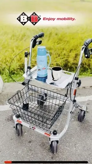 Rollator (Germany) + FREE Walking Stick B&B SENIO Premium