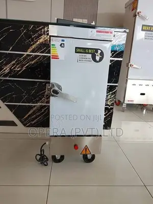 Electric Steamer