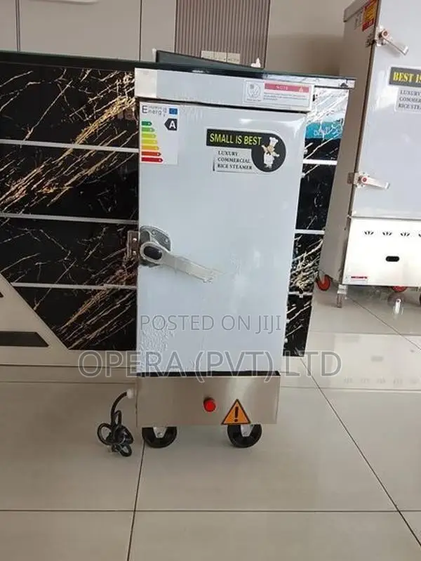 Electric Steamer