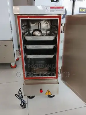 Electric Steamer