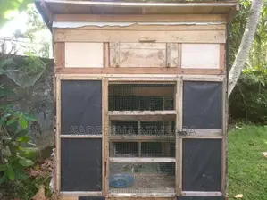 Pigeon Cage