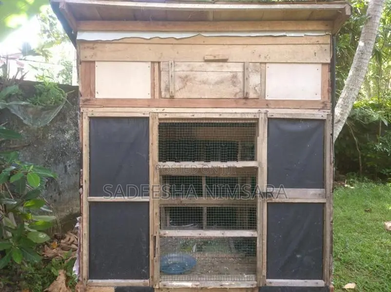 Pigeon Cage