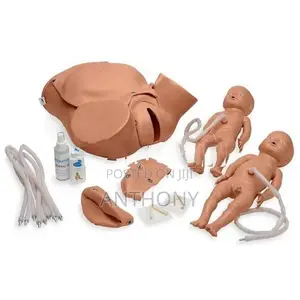 CHILDBIRTH SKILL TRAINING SIMULATOR