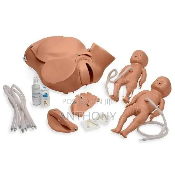 CHILDBIRTH SKILL TRAINING SIMULATOR