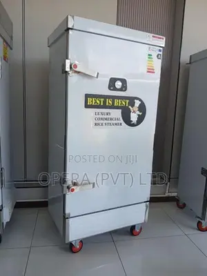 Electric Steamer Machine