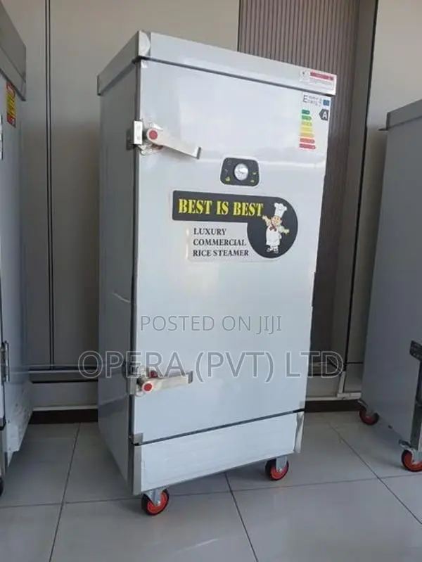 Electric Steamer Machine