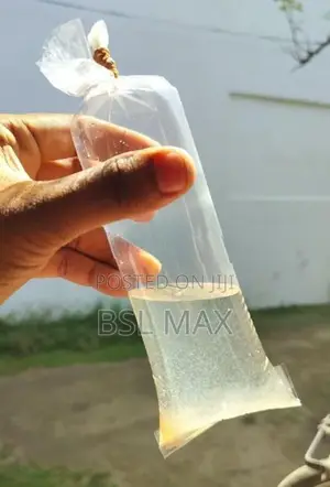 Moina Starter Culture Live Fish Food